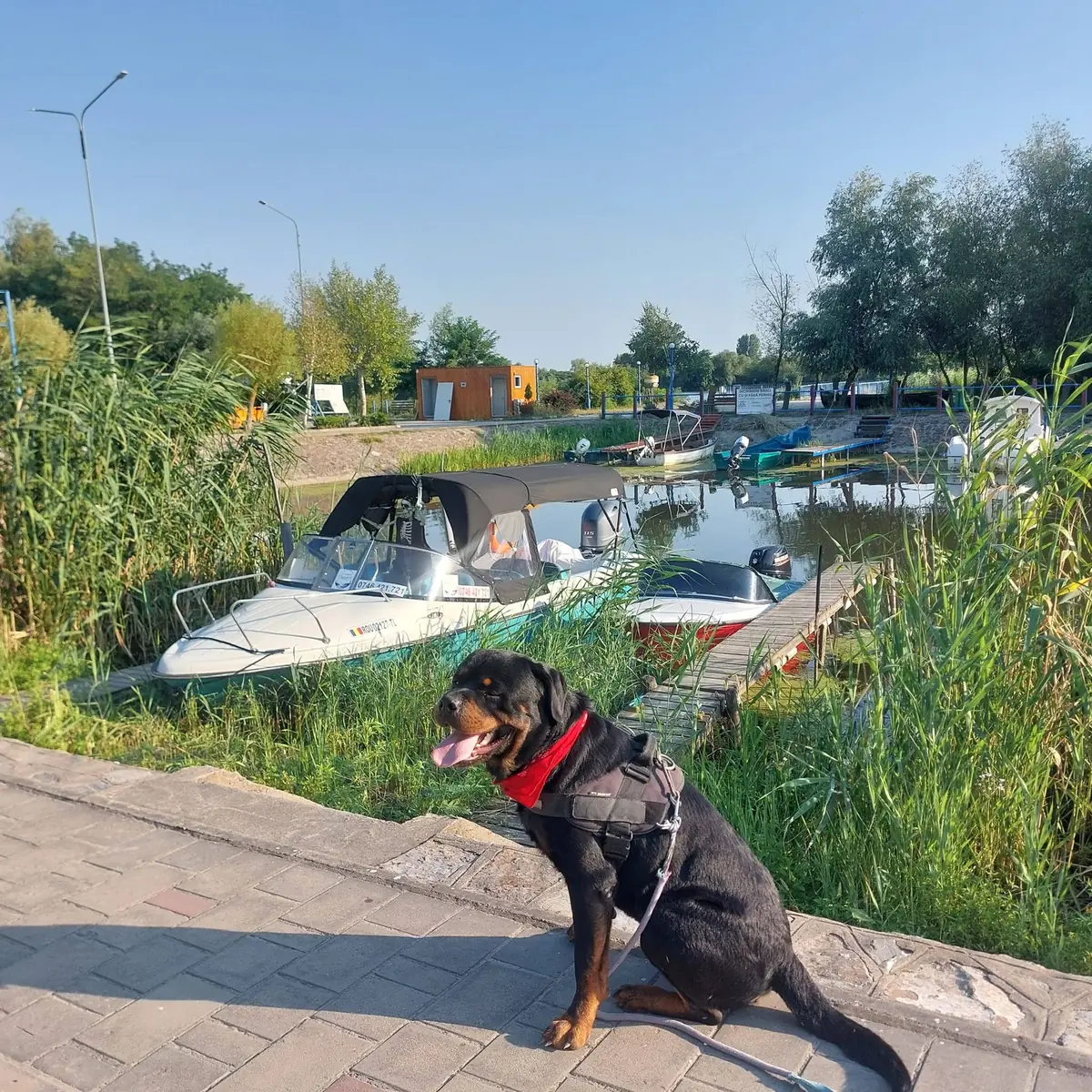 Barca de excursii la ponton, gata de plecare în Delta Dunării